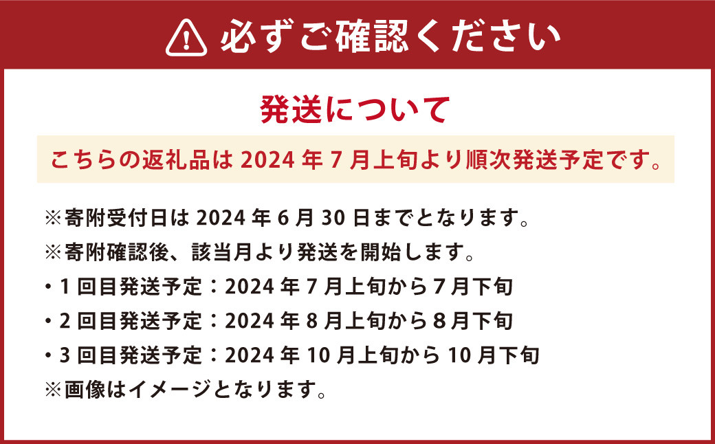 【年3回定期便】【2024年7月上旬発送開始】 くまもと 夏秋 フルーツ 定期便 ( 巨峰 ・ 梨 ・ 柿 )  