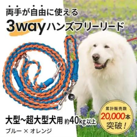 【犬用】3WAYハンズフリーリード(大型～超大型犬用)ブルー×オレンジ【ゴールデンママ】【配送不可地域：離島・沖縄県】【1743334】
