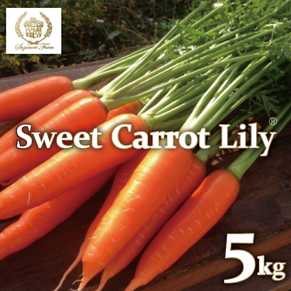 【ふるさと納税】【期間限定】 にんじん 鈴盛農園 甘いにんじん 人参 ニンジン スウィートキャロットリリィ 5kg ジュース スムージー 送料無料