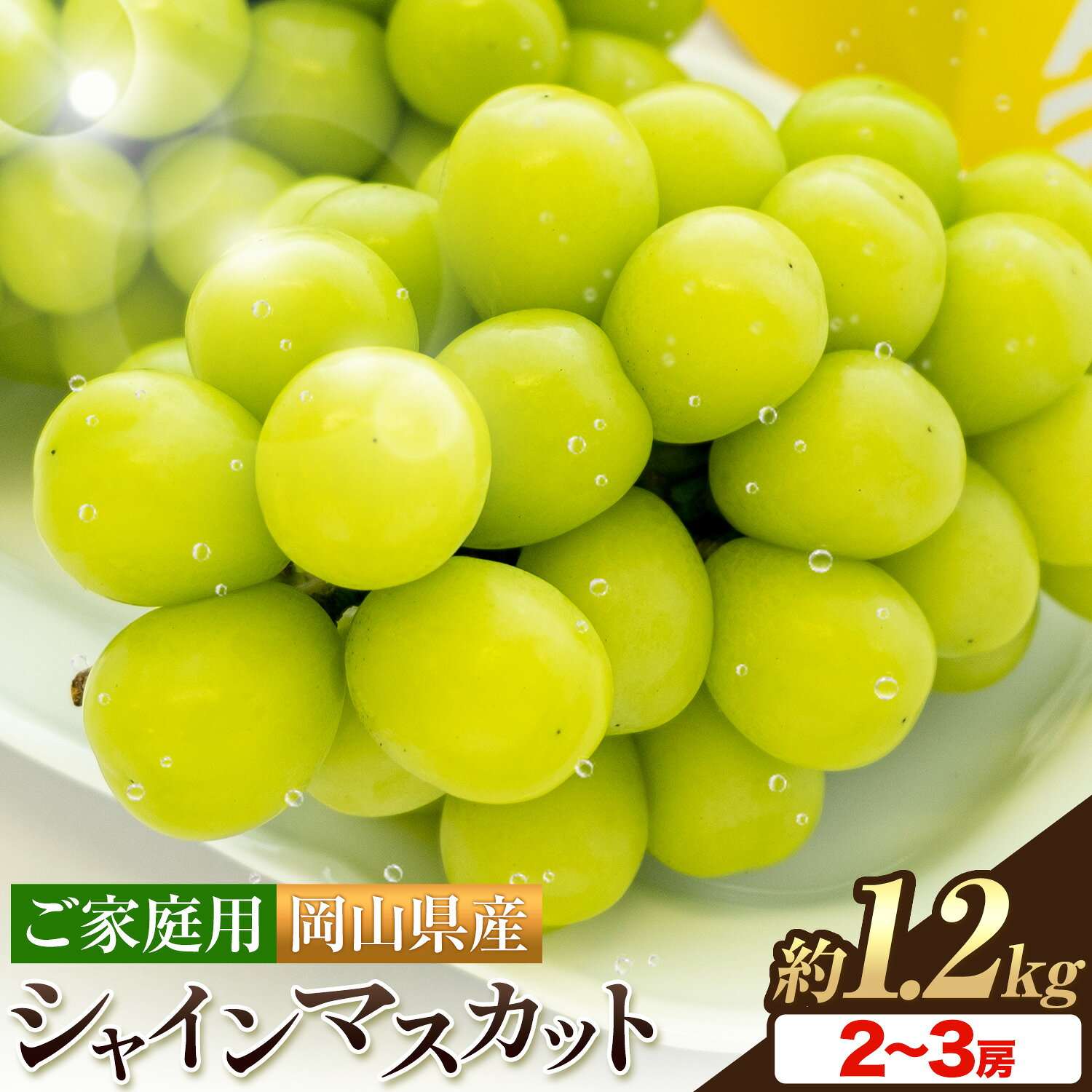 【ふるさと納税】岡山県産 シャインマスカット 2～3房 約 1.2kg 《9月上旬-10月下旬頃に出荷予定(土日祝除く)》 岡山県 笠岡市 マスカット ぶどう 葡萄 果物 フルーツ【配送不可地域あり】