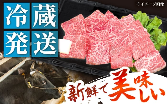 飛騨牛 A5等級 もも 牛肉 和牛 焼肉 ステーキ BBQ 冷蔵 新鮮 高級 贈答 ギフト おすすめ 人気 岐阜県 恵那市