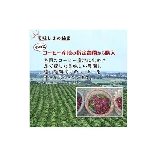 コーヒー＆ブランデーケーキセット 手焼きコーヒー コーヒーブランデーケーキ コーヒー粉 200g ブランデー入りパウンドケーキ 遠山珈琲 スイーツ 詰め合わせ