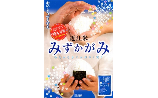 【令和6年産】環境こだわり米「みずかがみ」白米【10kg×1袋