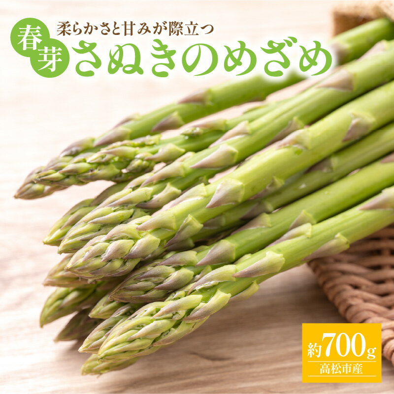 【ふるさと納税】柔らかさと甘みが際立つ さぬきのめざめ春芽 約700g【2026-1月下旬～2026-2月下旬配送】 | アスパラガス 野菜 香川県 オリジナル 品種 シャキシャキ 格別 瀬戸内 香川県 高松市 新鮮