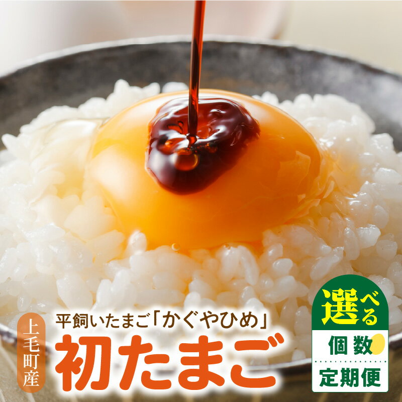 栄養がぎゅっと詰まっていて味も濃厚 初たまご かぐやひめ Sサイズ 100個 若鶏 たまご 新鮮 放し飼い 平飼い 卵かけご飯 朝食 食品 こだわり お取り寄せ 福岡県 上毛町 国産 送料無料
