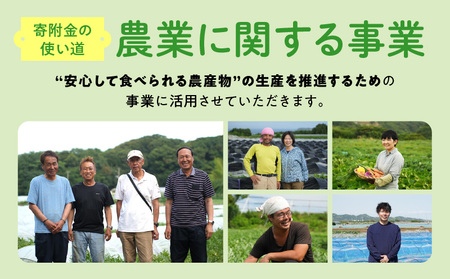 神奈川県 三浦市 【 返礼品なし 】 応援寄附 農業 に関する 事業 を 応援（ 1,000円 ） MN-1000-1 返礼品無 応援