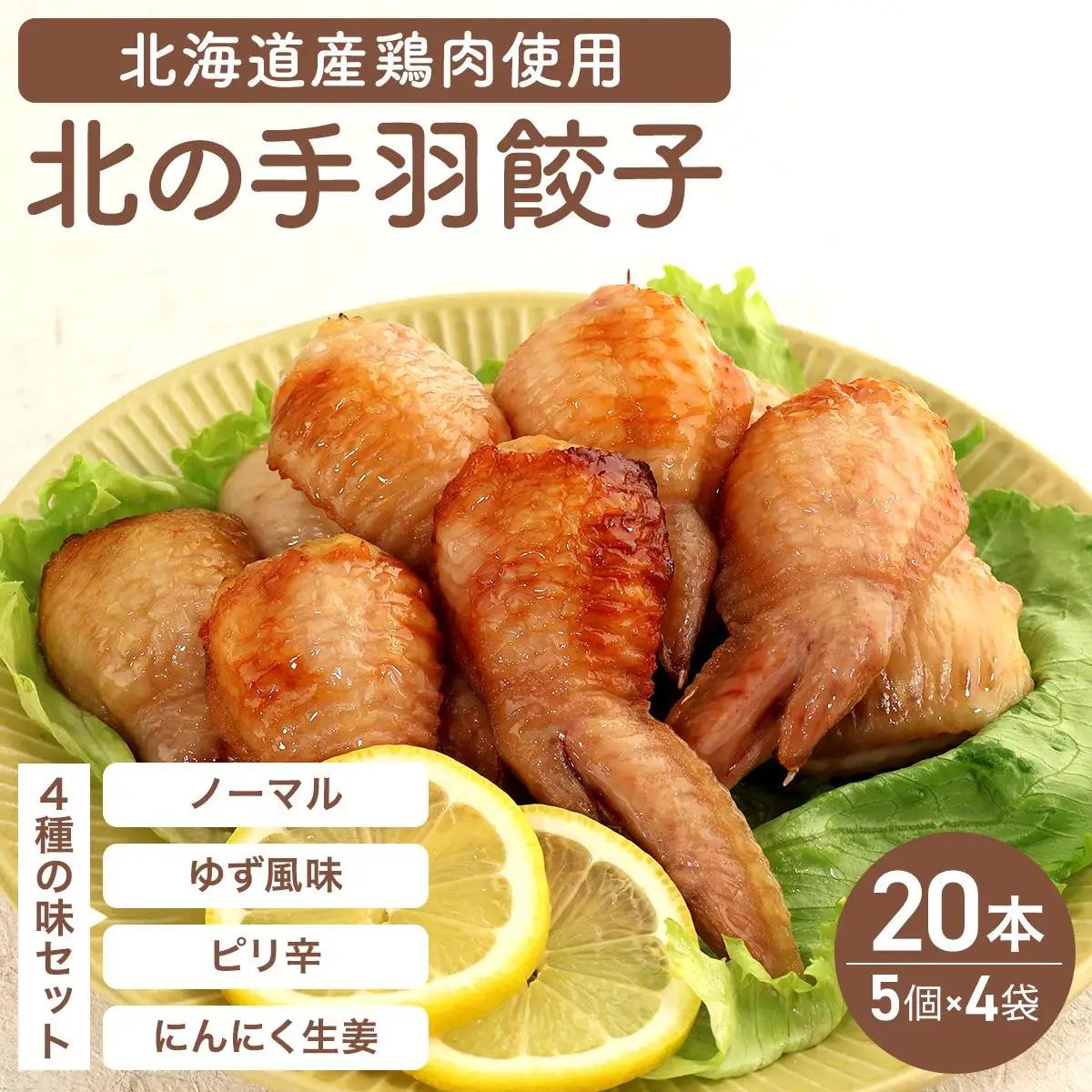 北海道産鶏肉を使った手羽餃子【北の手羽ぎょうざ】20個セット(5個×4袋)≪配送地域限定≫【53102】