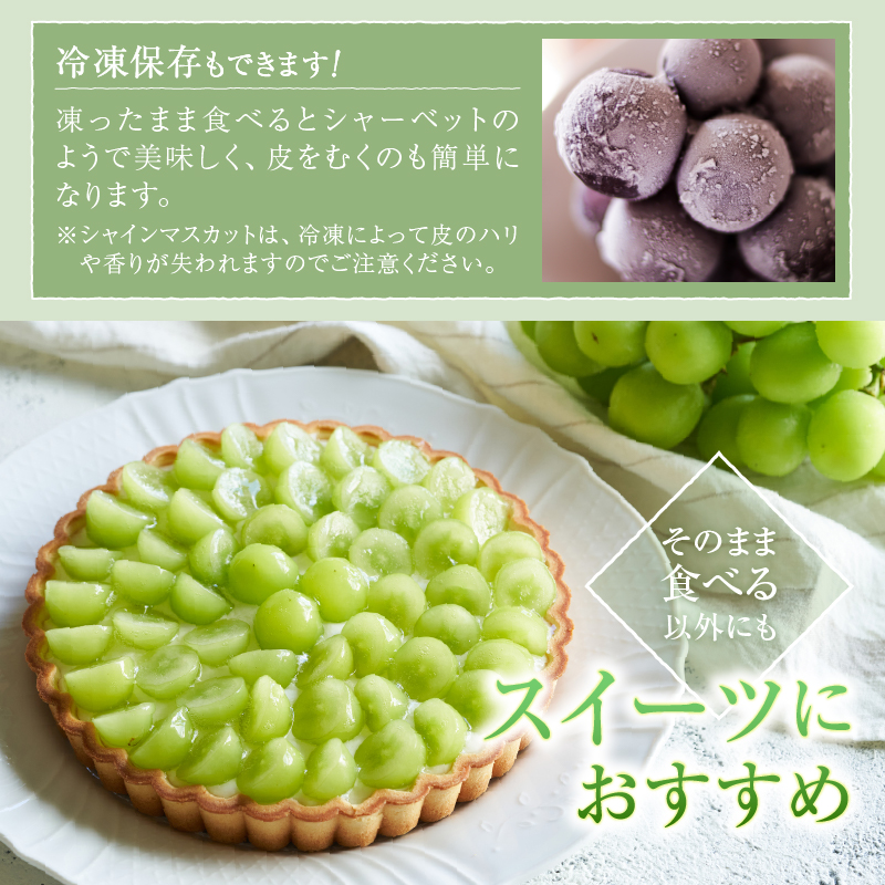 甲州市産 厳選 訳あり 粒々シャインマスカット 約1.0kg【2024年発送】（APX）A09-196