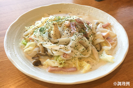 グルテンフリー米粉100％麺　田守り麺（平麺）100g×9袋