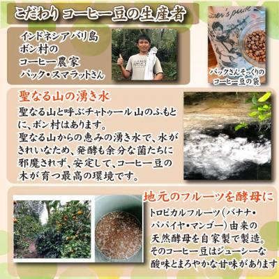 ふるさと納税 下関市 スペシャルティ コーヒー豆セット インドネシア 300g(100g×3袋) EW123 |  | 02