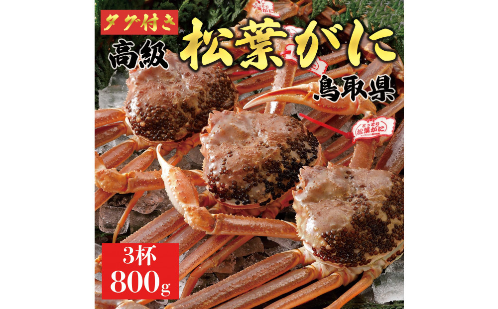【2026年1月～2026年3月発送】特撰 松葉がに（なま）【ブランドタグ付き】800g超の大きいサイズ 食べ応えあり 特大3杯