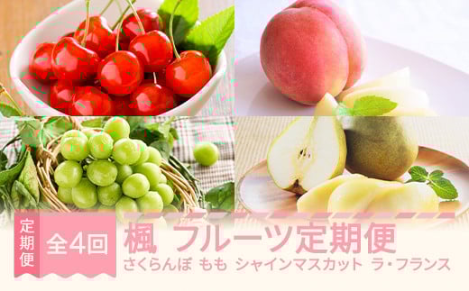 【先行予約】楓 フルーツ 定期便 全4回 さくらんぼ 佐藤錦  もも 白桃 ぶどう シャインマスカット ラ・フランス ギフト 果物 2026年産春始まり 山形県産 mm-ft4xx-a