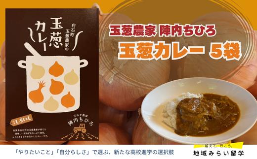 
            【玉葱農家陣内ちひろ】玉葱カレー5袋
          