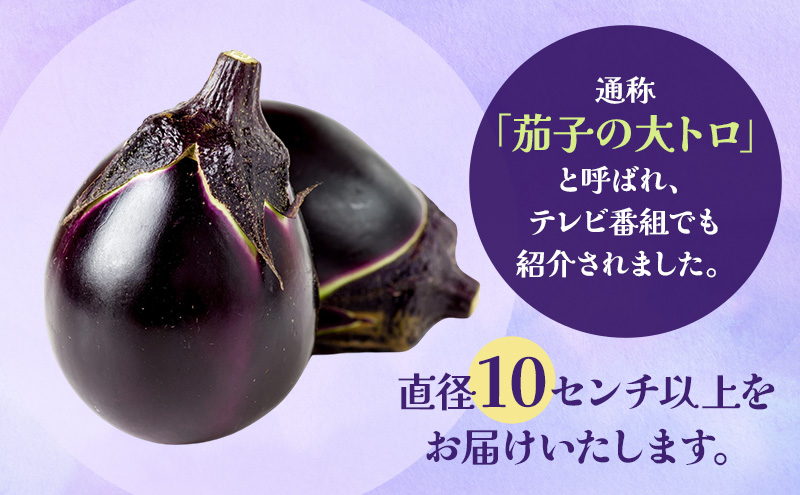 【先行予約　7月上旬より順次出荷】新潟県上越市産　茄子の大トロ　越の丸茄子2kg詰め（9個入）ナス　丸茄子　野菜　新潟　上越