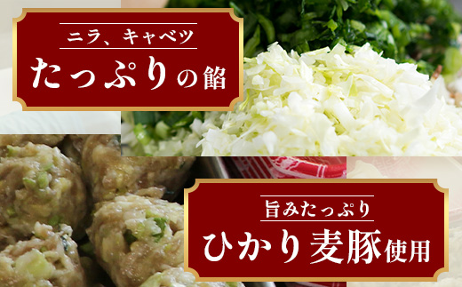【ひかり麦豚】ちょっと大きな 餃子 42個 セット HM-707