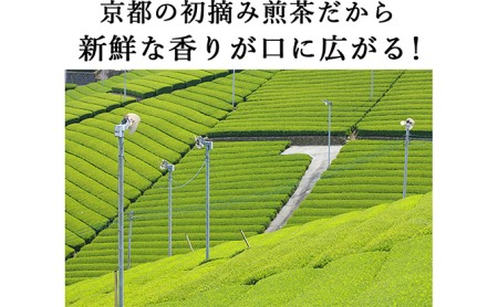 桜皮茶筒と最高峰煎茶と玉露のセット (煎茶 玉露 緑茶 宇治茶