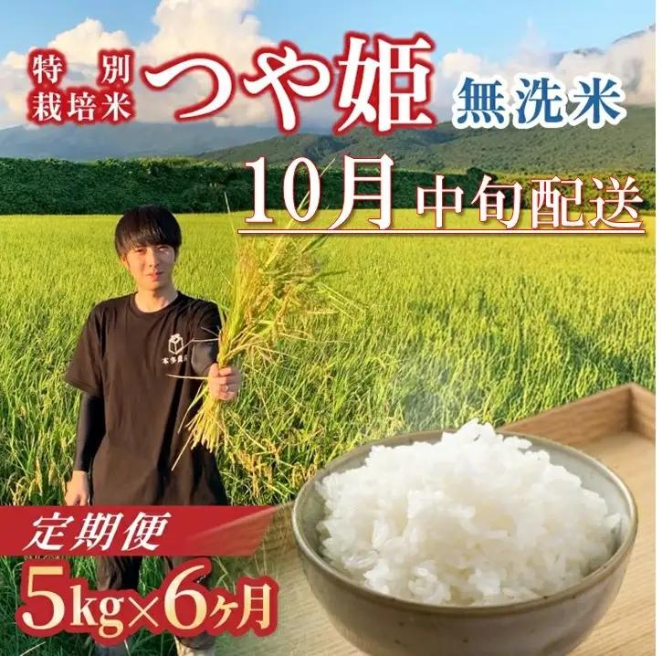 SH0070　10月中旬発送開始／【6回定期便】令和8年産 ［無洗米］つや姫　5kg×6回(計30kg) 農家直送 HO