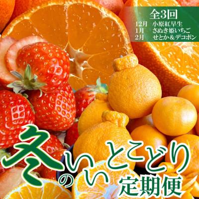 ふるさと納税 高松市 【発送月固定定期便】冬のいいとこどり定期便♪(12月・1月・2月)全3回