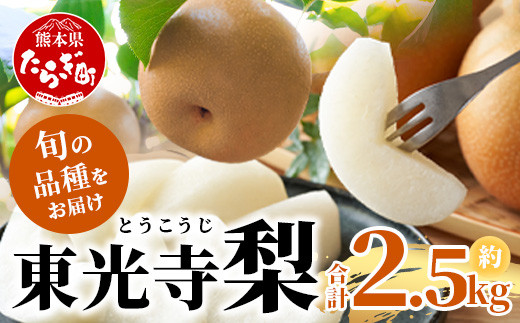 
            東光寺 梨 2.5kg (5～7玉) 1箱 【2025年7月下旬～順次発送】  完熟 梨 なし フルーツ 果物 夏 旬 幸水 豊水 秋月 新興 新高 025-0573
          