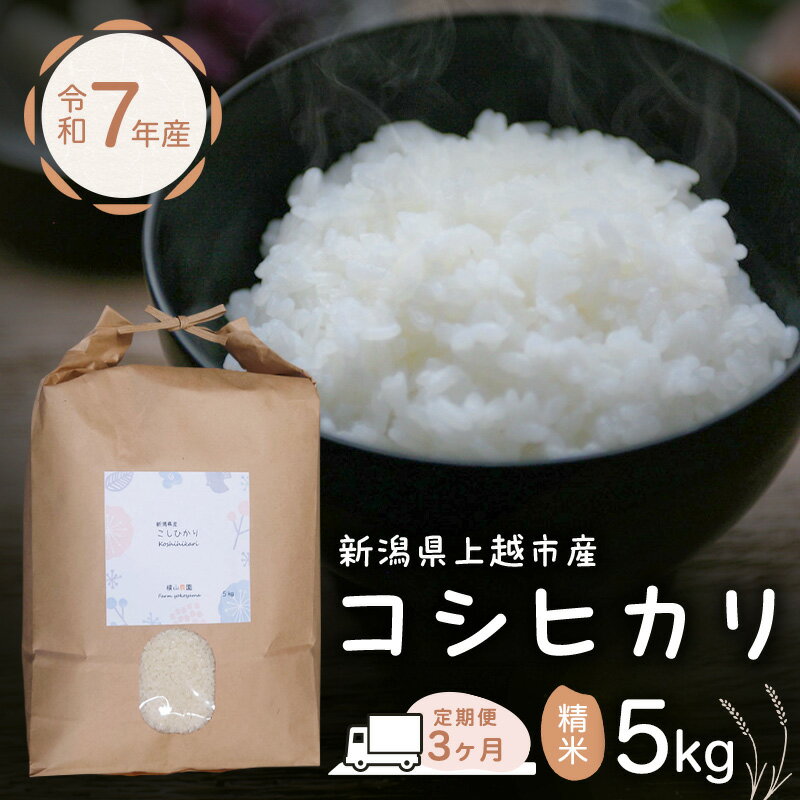 【ふるさと納税】定期便 3ヶ月 米 新潟県上越市産 横山農園 コシヒカリ 令和7年産 5kg（5kg×1袋）毎月3回配送 こしひかり お米 精米 米 ご飯 送料無料