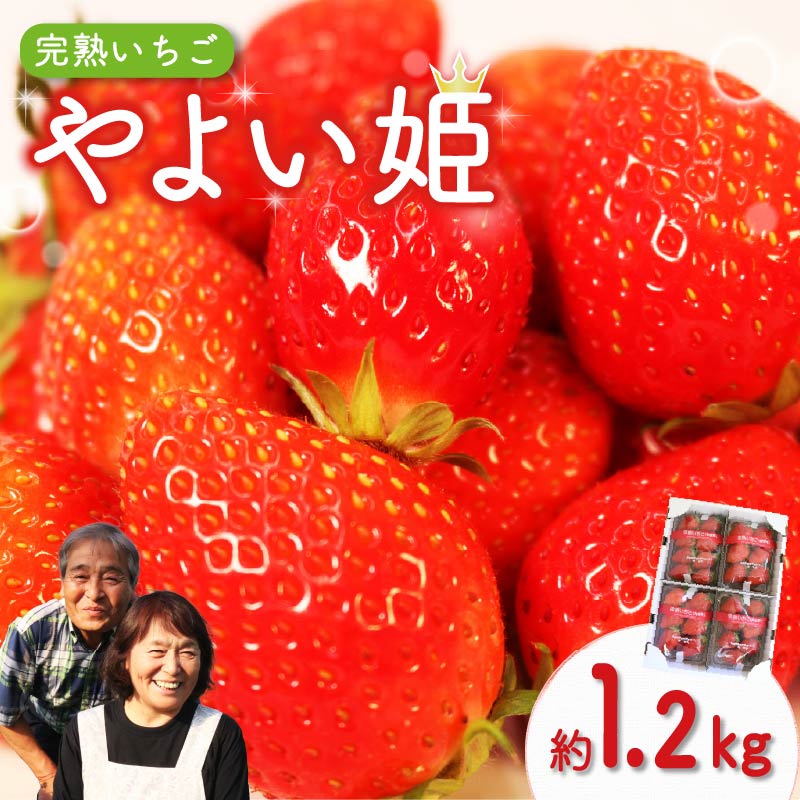 【ふるさと納税】 やよい姫 約1.2kg 300g×4パック いちご 完熟 苺 産地 直送 フレッシュ イチゴ 贈答 フルーツ 果物 国産 静岡 発送期間: 2026年1月～2026年3月 静岡県 藤枝市