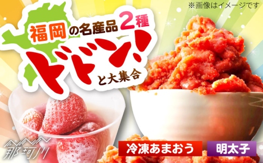 辛子明太子無着色(切子)500gと福岡県産冷凍あまおう500g(250g×2)訳あり ＜木村食品＞ 那珂川市 [GFR039]