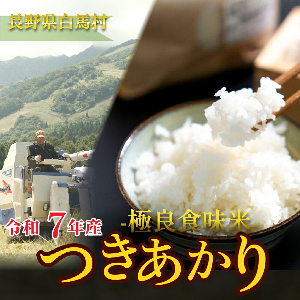 【ふるさと納税】白馬産つきあかり 精米 10kg /長野県白馬村 新米 白米 お米 コメ 北アルプス 清流米 大粒 つややか 甘み 粘り バランス 冷めても美味しい お弁当向き 農家直送 新鮮精米