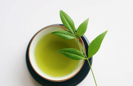 【定期便6回】八女茶　【上】煎茶セット　100g×2袋