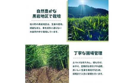 【ふるさと納税】【純米酒】＜永田農法＞純米酒 1.8L(一升瓶)×1本 父の日 母の日 高知 地酒 贈答 ギフト プレゼント お祝い辛口 毎晩の晩酌に