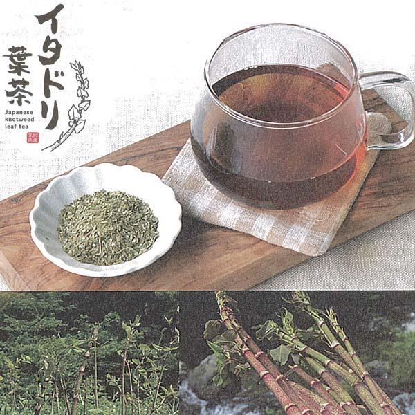 
イタドリ葉茶　約48ｇ（約4ｇ×12包） | ティーバッグ お茶 いたどり 春の山菜 山菜の里 高知 土佐
