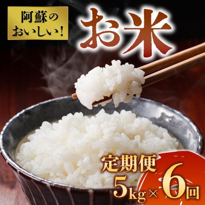【2ヵ月毎定期便】阿蘇の美味しいお米(白米)5kg全6回【4080785】