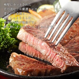【冷蔵】京丹波姫牛 特選極厚ヒレステーキ 約540g スパイス・ソース付き ※着日指定不可 ≪牛肉 ステーキ 牛肉 ステーキ 牛肉 ステーキ 牛肉 ステーキ 牛肉 和牛 牛肉 ふるさと納税 牛肉 牛肉
