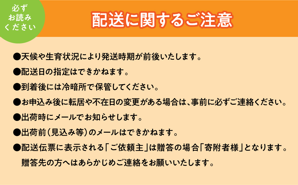＜2026年発送先行予約＞山梨県産早期出荷シャインマスカット １．2ｋｇ以上／箱　２～３房入 ALPAK010