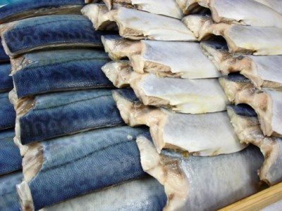 ひさご寿し名物の鯖寿し【630g】【DH02SM】