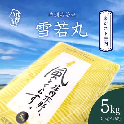 ふるさと納税 庄内町 米シスト庄内 庄内平野、風と暮らす 雪若丸 5kg 特別栽培米 令和7年産 2025年産 ブランド米
