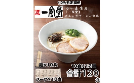 JDD001.【全12回定期便】一風堂白丸ラー麦麺セット・10食【豚骨ラーメン】