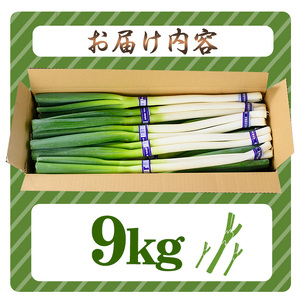 ＜先行予約受付中！11月上旬～4月下旬発送予定＞白ねぎ(9kg) ねぎ ネギ 白ネギ 長ねぎ 長ネギ 旬 根付き 土付き 煮込み 炒め 生 和洋中 万能 鍋 鍋料理 BBQ バーベキュー 天ぷら てん