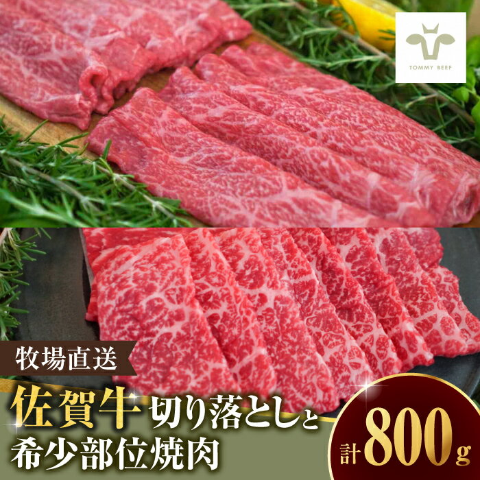 【ふるさと納税】【家計お助け返礼品】至福の切り落とし500gと希少部位焼肉300g / 国産和牛 牛肉 / 佐賀県 / 有限会社佐賀セントラル牧場 [41ASAA095]