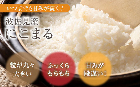 【先行予約 令和5年度 新米】【全6回定期便】【真空包装可能】にこまる 白米 5kg×6回 計30kg　もち麦 300g×6回 計1800g　 波佐見町産 セット【冨永米穀店】[ZF08]