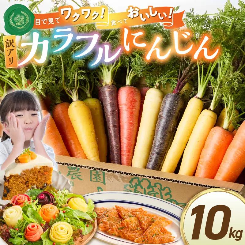 〈予約受付〉 メディア出演多数！【期間限定】（訳あり） 冬の寒さでぎゅっと濃い！虹色のカラフルにんじん 10kg 鈴盛農園 農家直送 甘い スーパーフード 健康 自慢 ジュース サラダ ギフト 贈り物 βカロテン ポリフェノール リコピン ジューシー 規格外 自慢 おためし H022-031