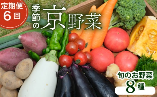 【定期便6回】【産地直送】旬のお野菜詰め合わせ 8種類 ( 京野菜 野菜 お野菜 やさい セット 野菜セット 詰め合わせ 詰め合わせセット 季節 旬 旬野菜 産地直送 栄養 安心 新鮮 おすすめ きよしファーム 南丹市 南丹 京都府 京都 6ヶ月 6か月)