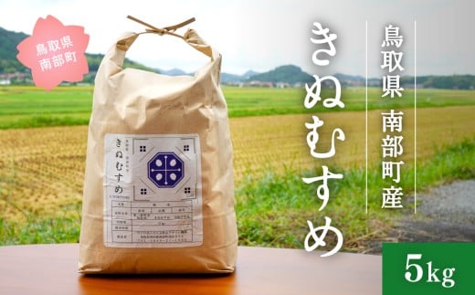 ＜新米・令和7年産＞鳥取県南部町産 きぬむすめ 5kg 米 お米 こめ おこめ コメ 白米 精米 なんぶ里山デザイン機構