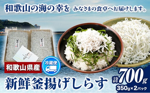 
										
										和歌山の海の幸を冷蔵にてお届け！「新鮮釜揚げしらす」700g（350g×2パック入） 厳選館《6月上旬-12月末頃出荷》和歌山県 日高町 釜揚げ しらす 釜揚げしらす---wsh_cgsk31_ac612_24_14000_700g---
									