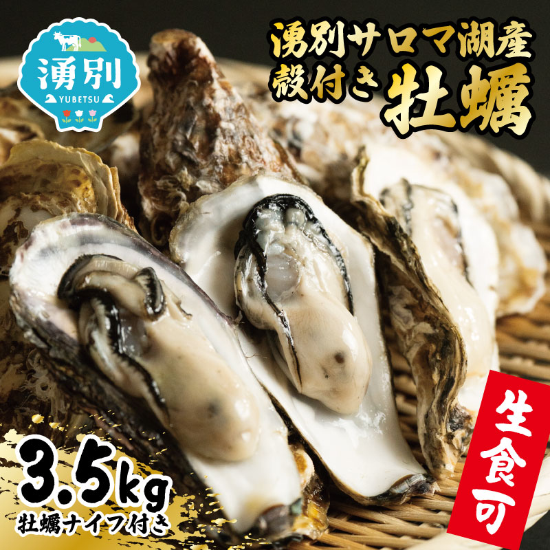 カキ 先行予約 北海道 オホーツク 湧別 サロマ湖産 殻付き 牡蠣 生食可 3.5kg 海鮮 魚介 国産 貝付き 生牡蠣 生食 焼き牡蠣 蒸し牡蠣 冷蔵 産地直送 