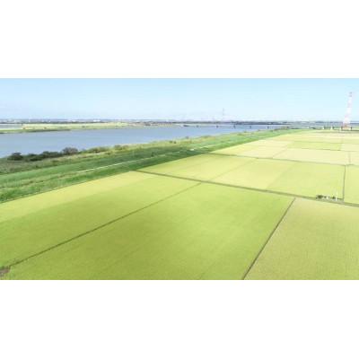 ふるさと納税 香取市 【令和7年産】新米 契約栽培 千葉県香取市産コシヒカリ(精米) 10kg×2袋(合計20kg) |  | 02