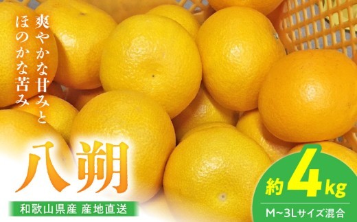 
                  【2027年先行予約】【産地直送】和歌山県産 八朔 4kg (M～3Lサイズ)【はっさく ハッサク 八朔 和歌山産 柑橘 和歌山 有田】_BL6113n
                