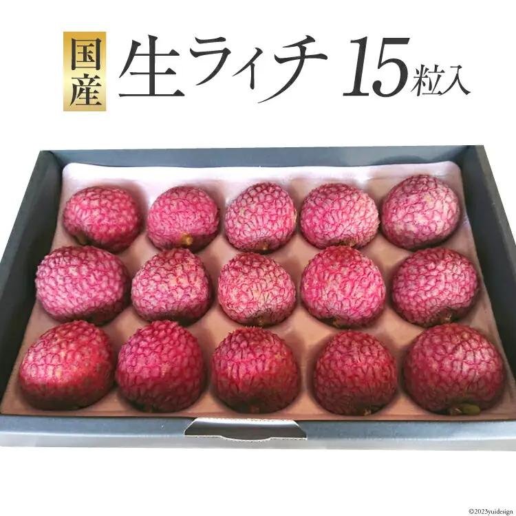 【期間限定発送】 生ライチ 15粒入り 国産 ライチ [452060925]
