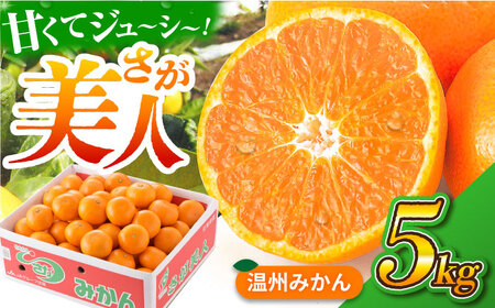 【厳しい基準をクリアしたみかん】 佐賀みかん （さが美人）5kg 【JAさが 杵島支所】[HAM086] 温州 