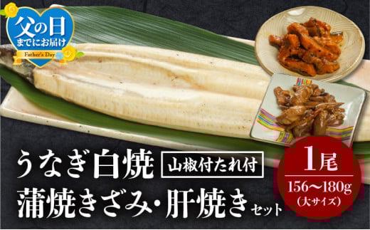 《父の日までにお届け予定(6月1日～6月15日)》うなぎ白焼(大サイズ)・きざみ・肝焼きセット_M069-020-FD