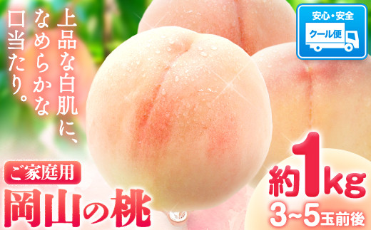 【豊作につき特別寄附額】岡山の桃 約1kg (3~5玉前後)白桃 岡山 はくとう スイーツ フルーツ 果物 デザート 旬 モモ もも 先行予約 送料無料 果物 岡山県 笠岡市 清水白桃 白鳳 白麗 クール便《2026年6月下旬-9月上旬頃出荷》